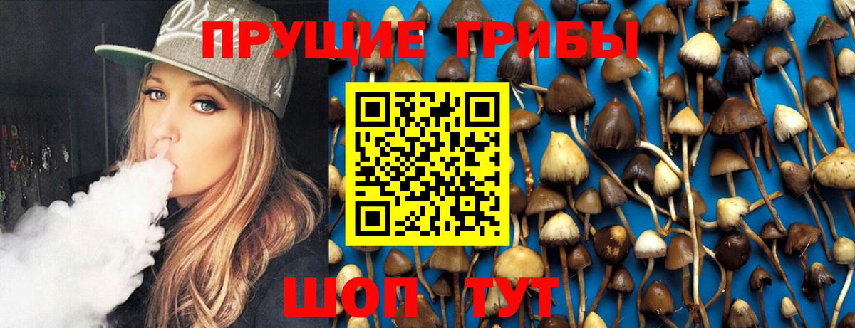 Галлюциногенные грибы Psilocybe Ликино-Дулёво